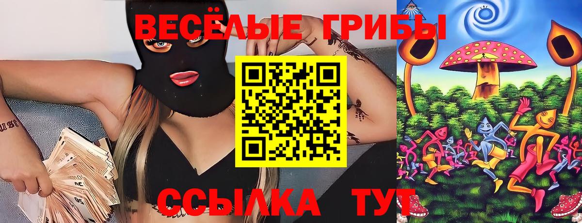 Азов  Галлюциногенные грибы мицелий  Вход с VPN  Галлюциногенные грибы прущие грибы 