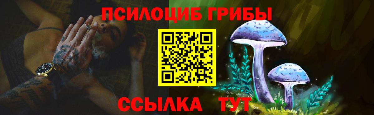 Псилоцибиновые грибы Psilocybine cubensis Азов